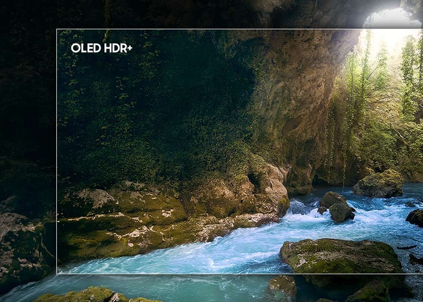 Nature scene with a river and trees, displayed on a screen with 'OLED HDR' text.