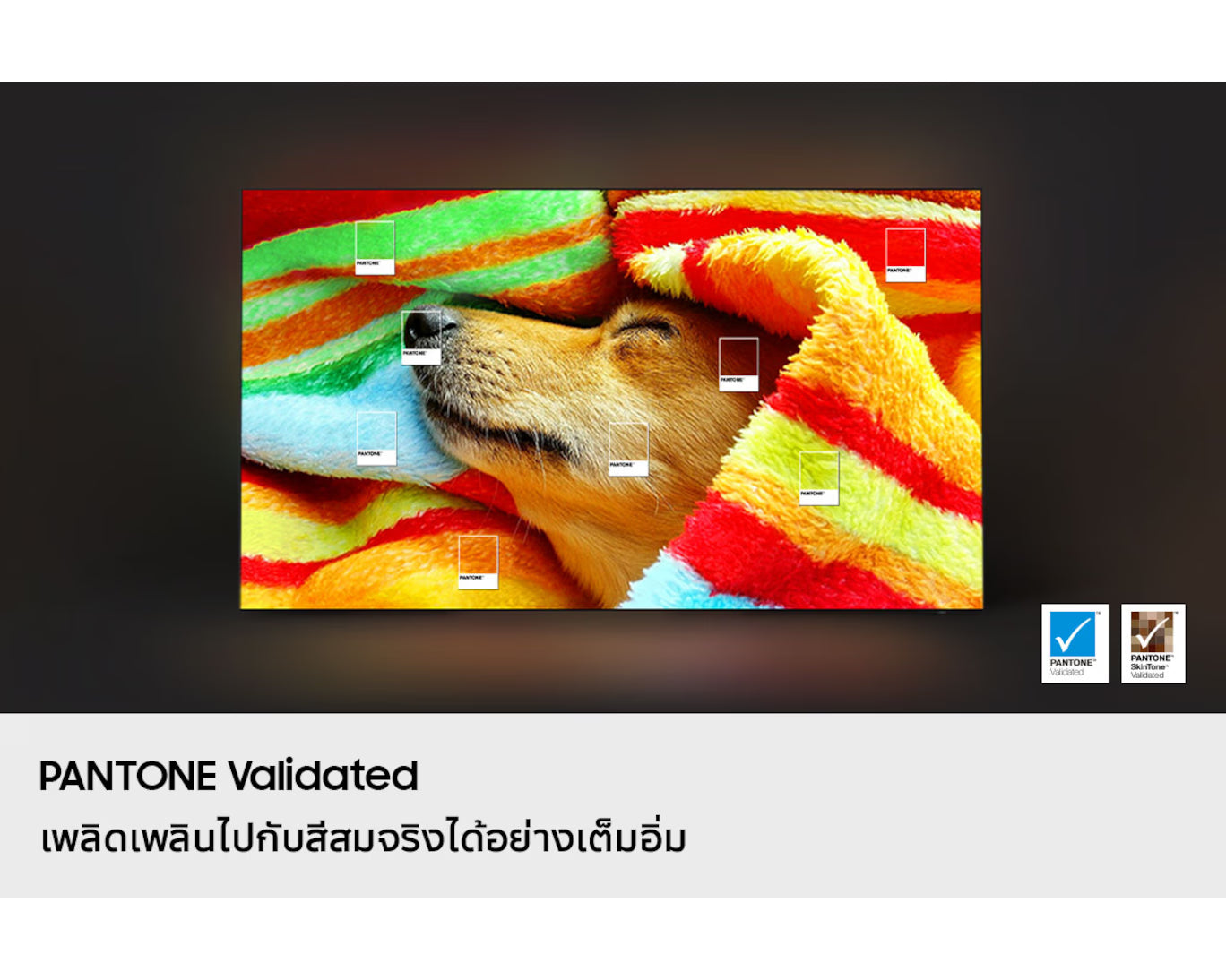 Dog wrapped in a colorful towel with Pantone validation logos.