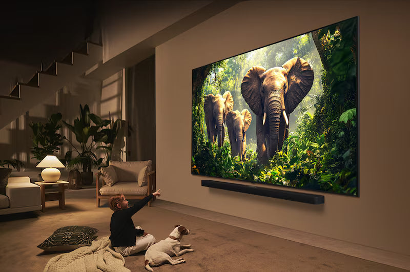 Living room with a large TV displaying elephants, a person pointing at the screen, and a dog lying on the floor.