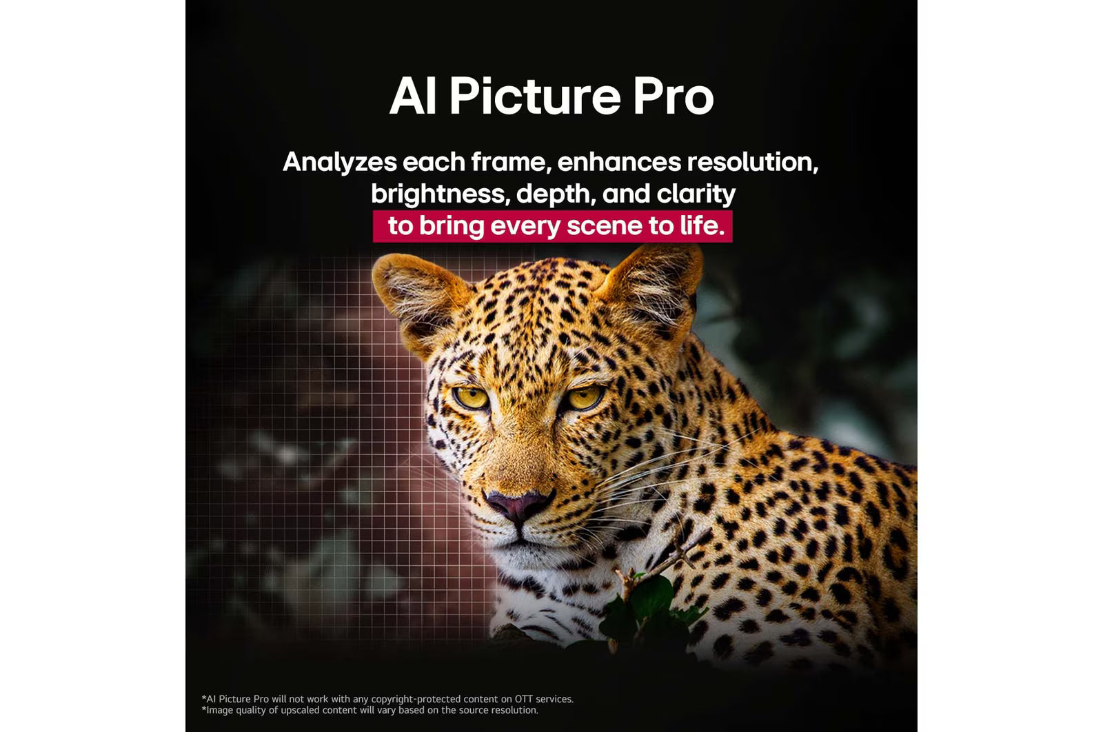 Leopard with AI Picture Pro text overlay on a dark background