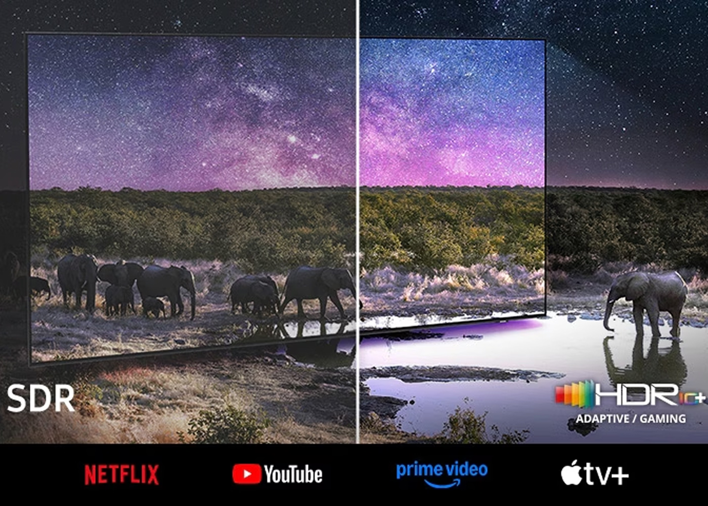 Comparison of SDR and HDR10+ displays showing elephants in a natural setting with different color accuracy.
