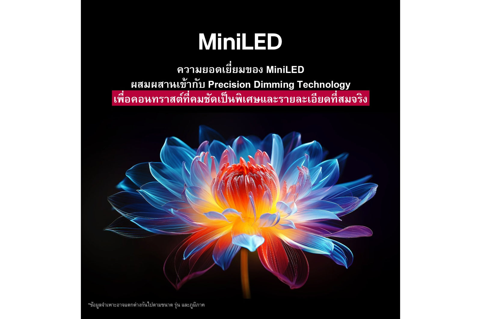 Colorful flower-like design with text about MiniLED technology on a black background