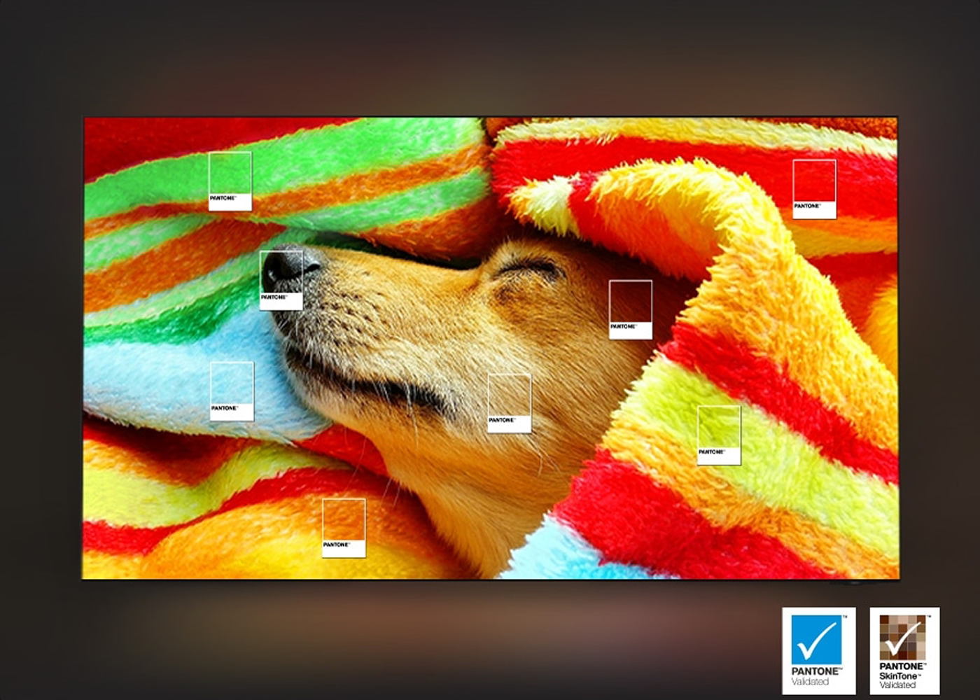 Dog sleeping on a colorful towel with a certification logo in the corner.
